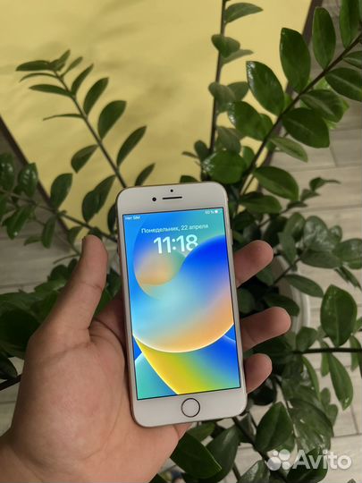 iPhone 8, 256 ГБ