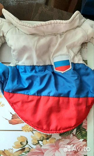 Вещи для маленькой микро собачки