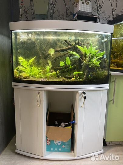 Аквариум 160 литров