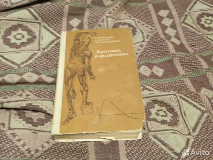 Книга анатомия и физиология медицина 1981 год