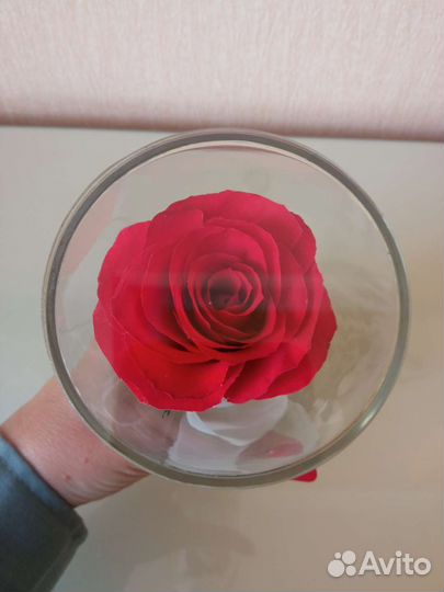 Роза в стекле