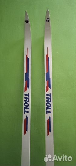 Лыжи полупластиковые