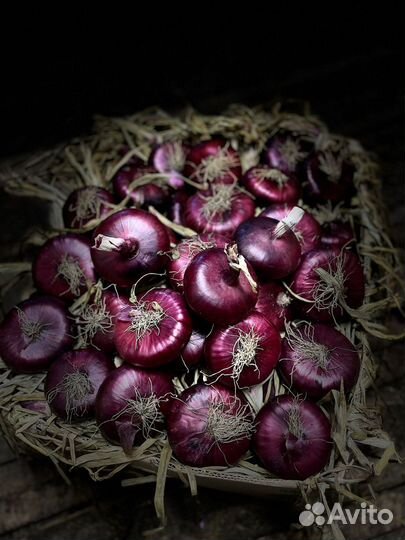 Ялтинский лук с Крыма