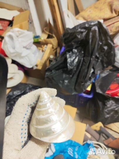 Ракушка перламутр