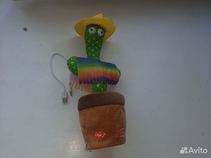 Поющий кактус