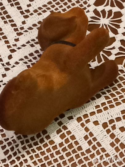 Собака флок качается голова