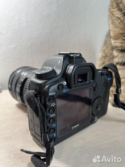 Зеркальный фотоаппарат canon 5d mark2