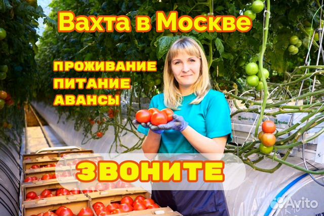 Вахта в Москве Упаковщик Томатов всё включено