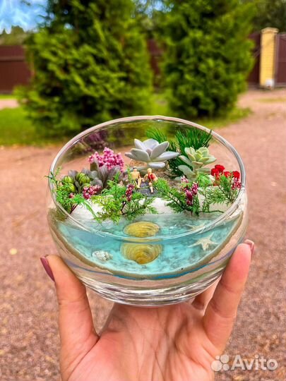 Флорариум с суккулентами