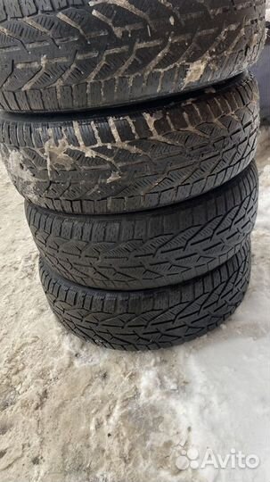 Tigar Winter 215/60 R16