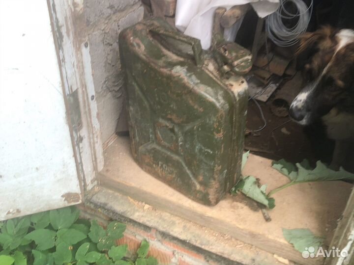 Канистра 10 л