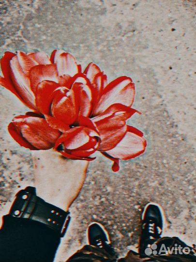 Фото и видео монтаж