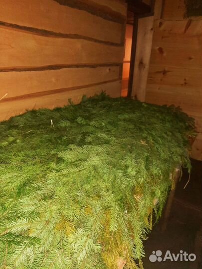 Аренда Бани с Прорубью Внутри