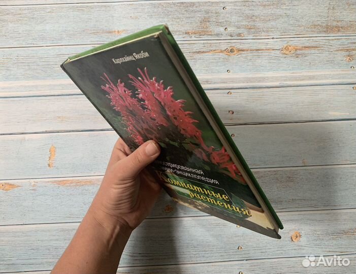 Книги по комнатным цветам