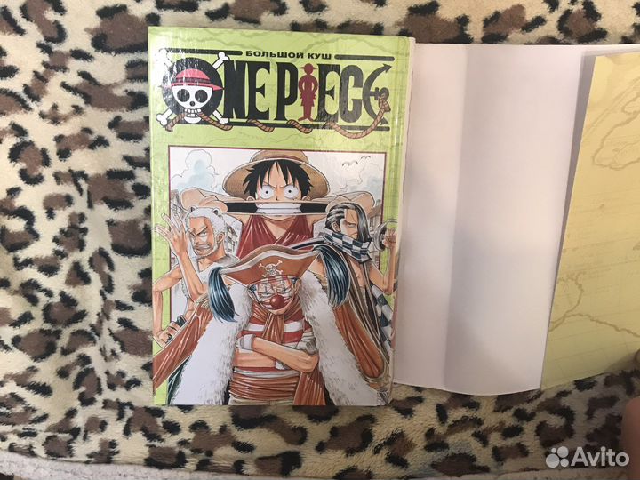 Манга Onepiece /Большой куш На заре приключений