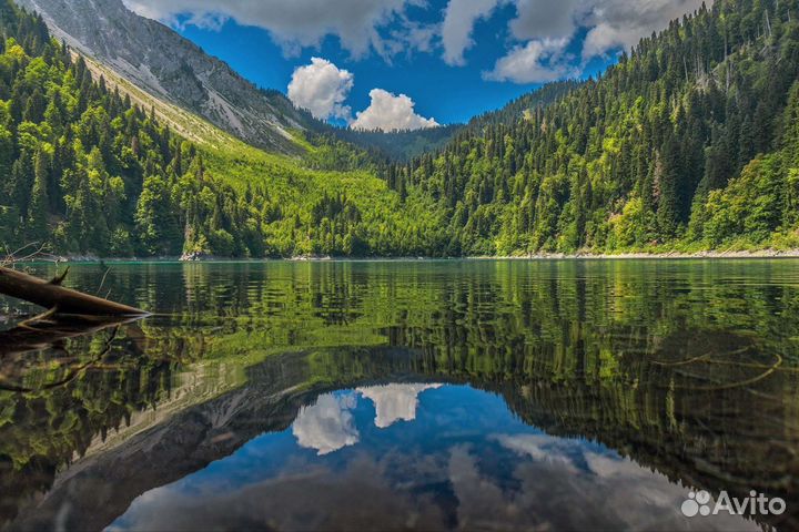 Экскурсии в Абхазию