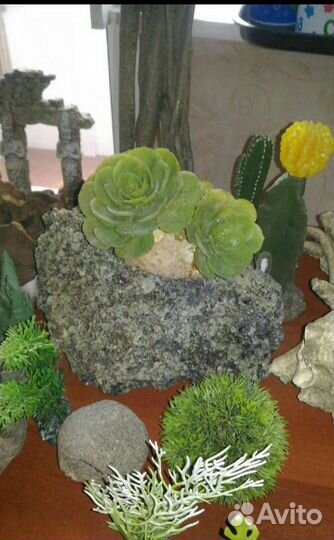 Для аквариума