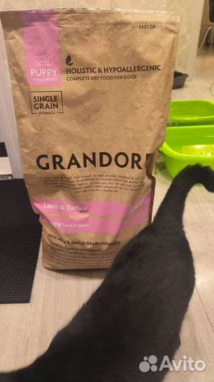 Сухой корм для щенков grandorf