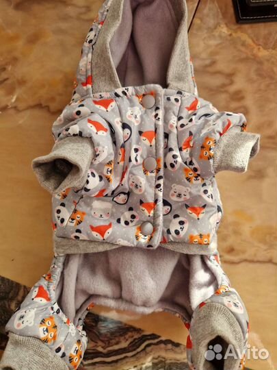 Одежда для маленьких пород собак