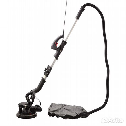 Прокат жираф