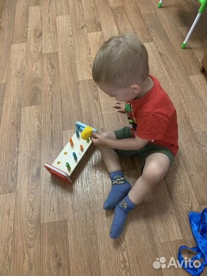 Стучалка радужная hare