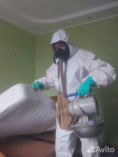 Уничтожение навсегда клопов, тараканов, крыс