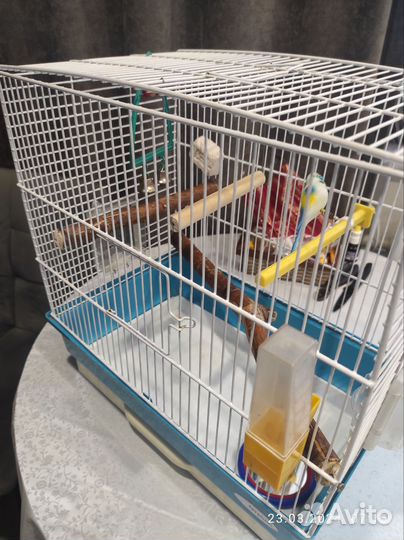 Клетка для попугая