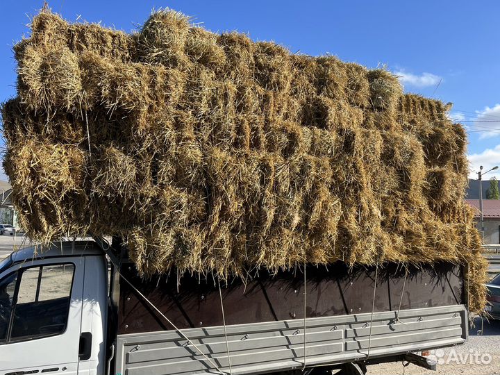 Солома Рисовая в тюках с доставкой