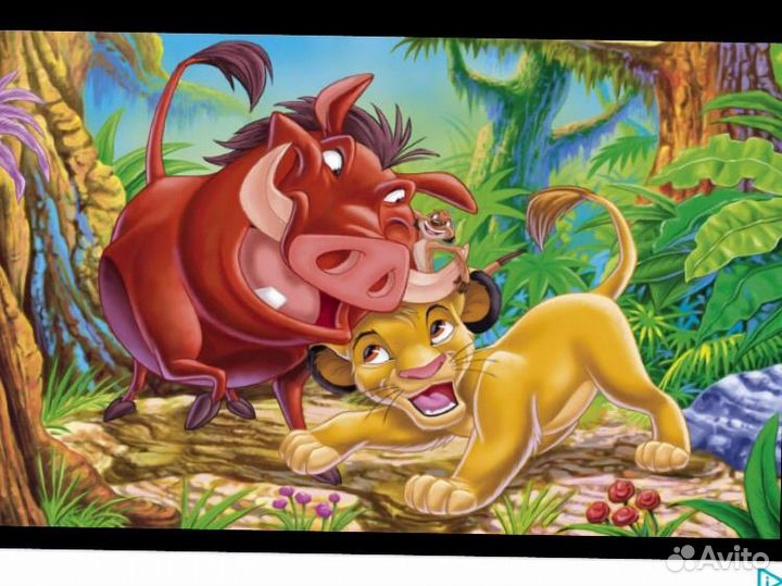 Передержка,выгул животных