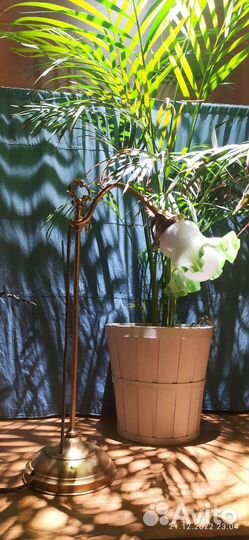 Лампа настольная зелёный плафон модерн 19 век