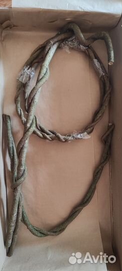 Товар для Елены