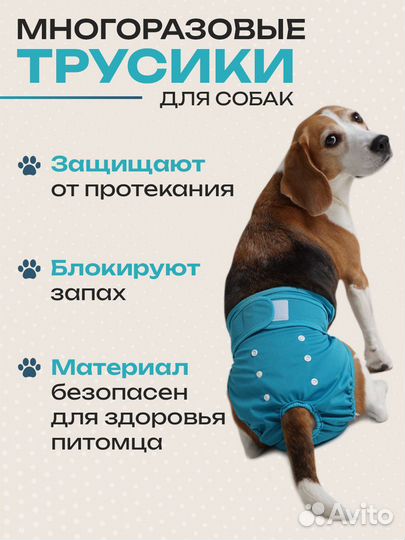 Трусы для собаки во время течки многоразовые, подг