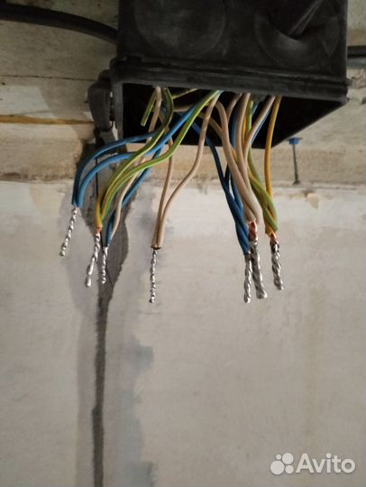 Дипломированный электрик, бюджетник