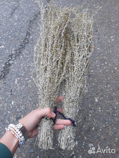 Веники для бани