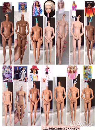 Барби тела, экстра, мтм, пышка, looks, бмр