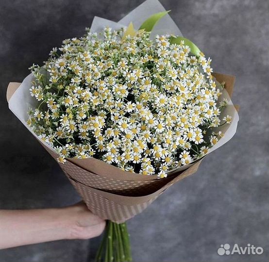 Ромашки Букет из ромашек доставка