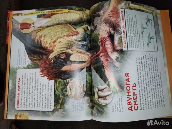 Энциклопедия динозавров 