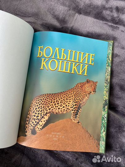 Энциклопедия животных