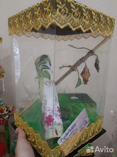 Необычный подарок для ребенка и взрослого