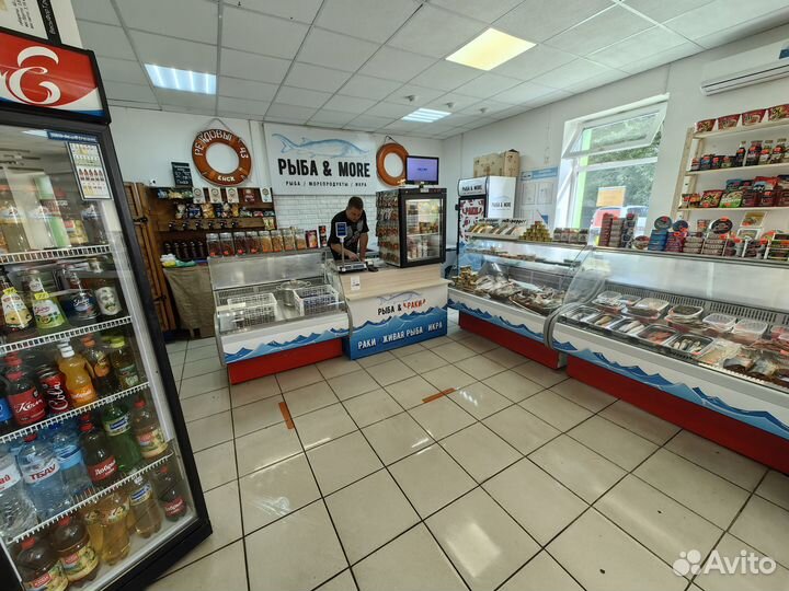 Магазин морепродуктов, пиво на рынке