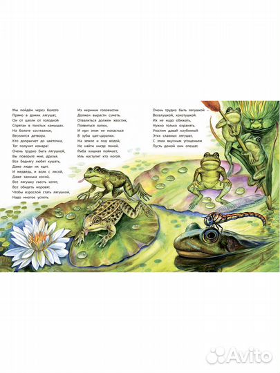 Энциклопедия для детей в стихах. Лес чудес