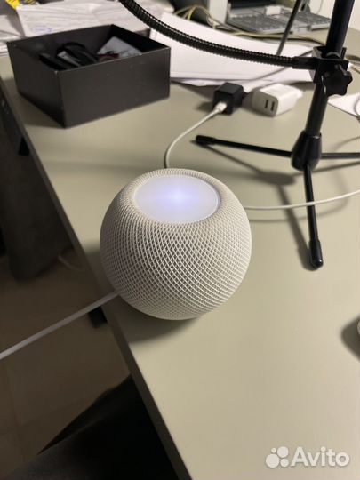 Apple homepod mini