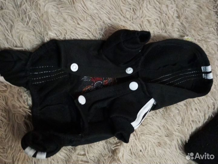 Костюм для собаки