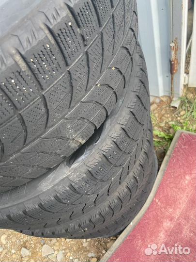 Bridgestone Blizzak WS-60 205/55 R16