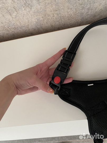 Шлейка для собаки