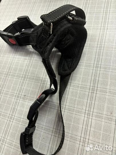 Амуниция для собак