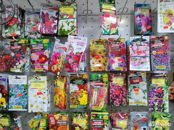 Семена томатов