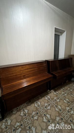 Фортепиано Ростов Дону 2 шт бесплатно