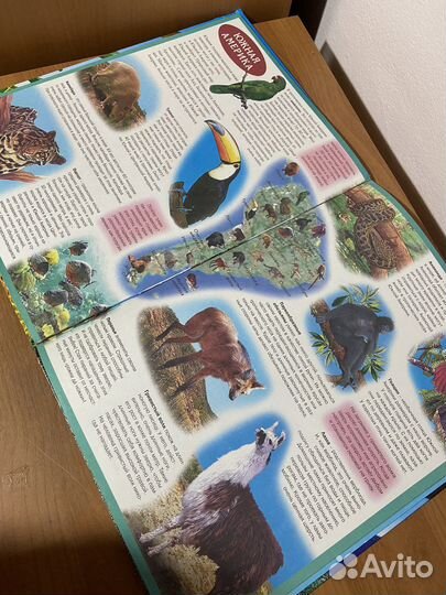 Новый атлас животных