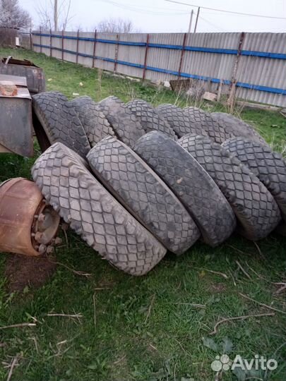 Резина на камаз 10 r20